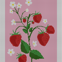 strawberryfeilds