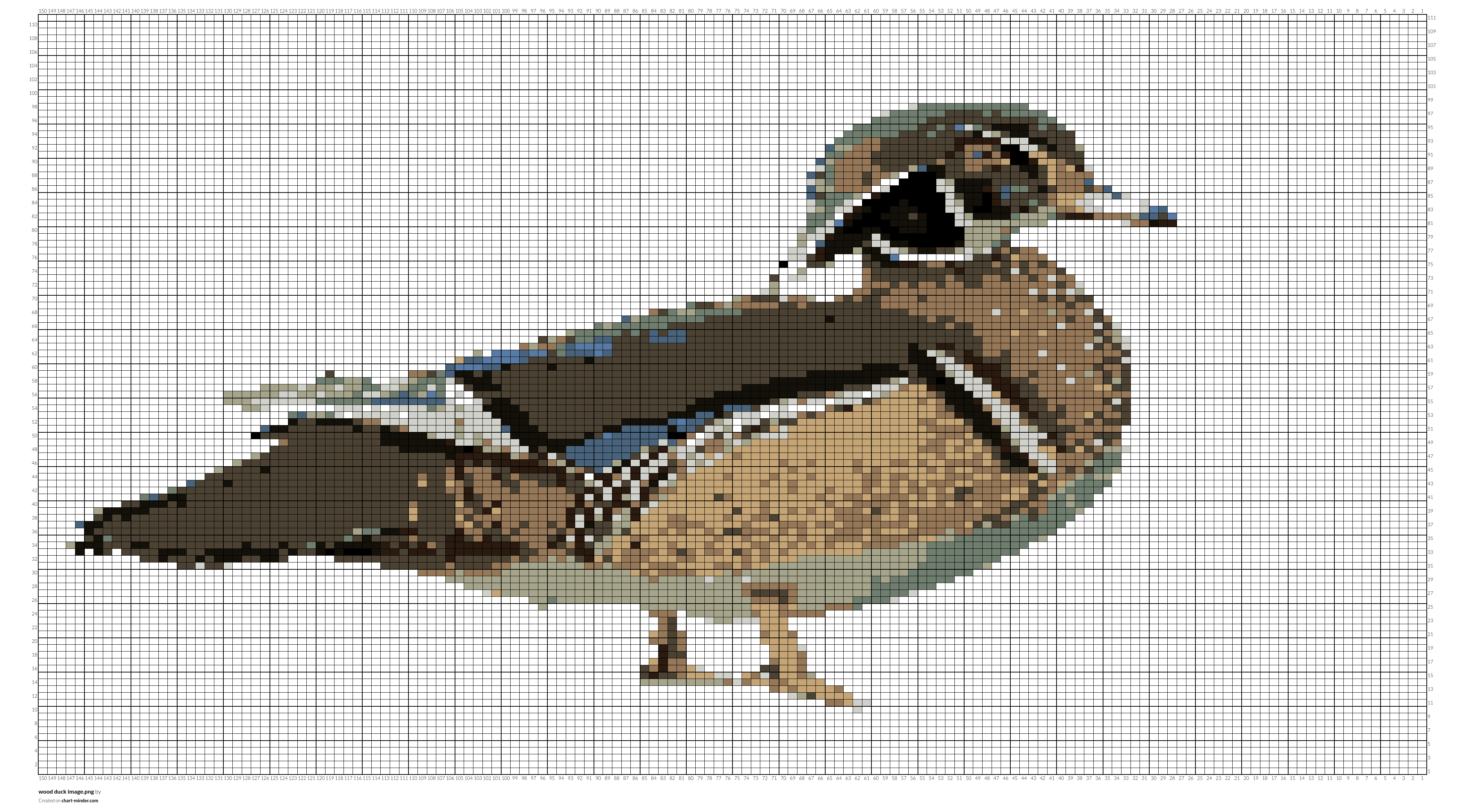 wood duck image.png
