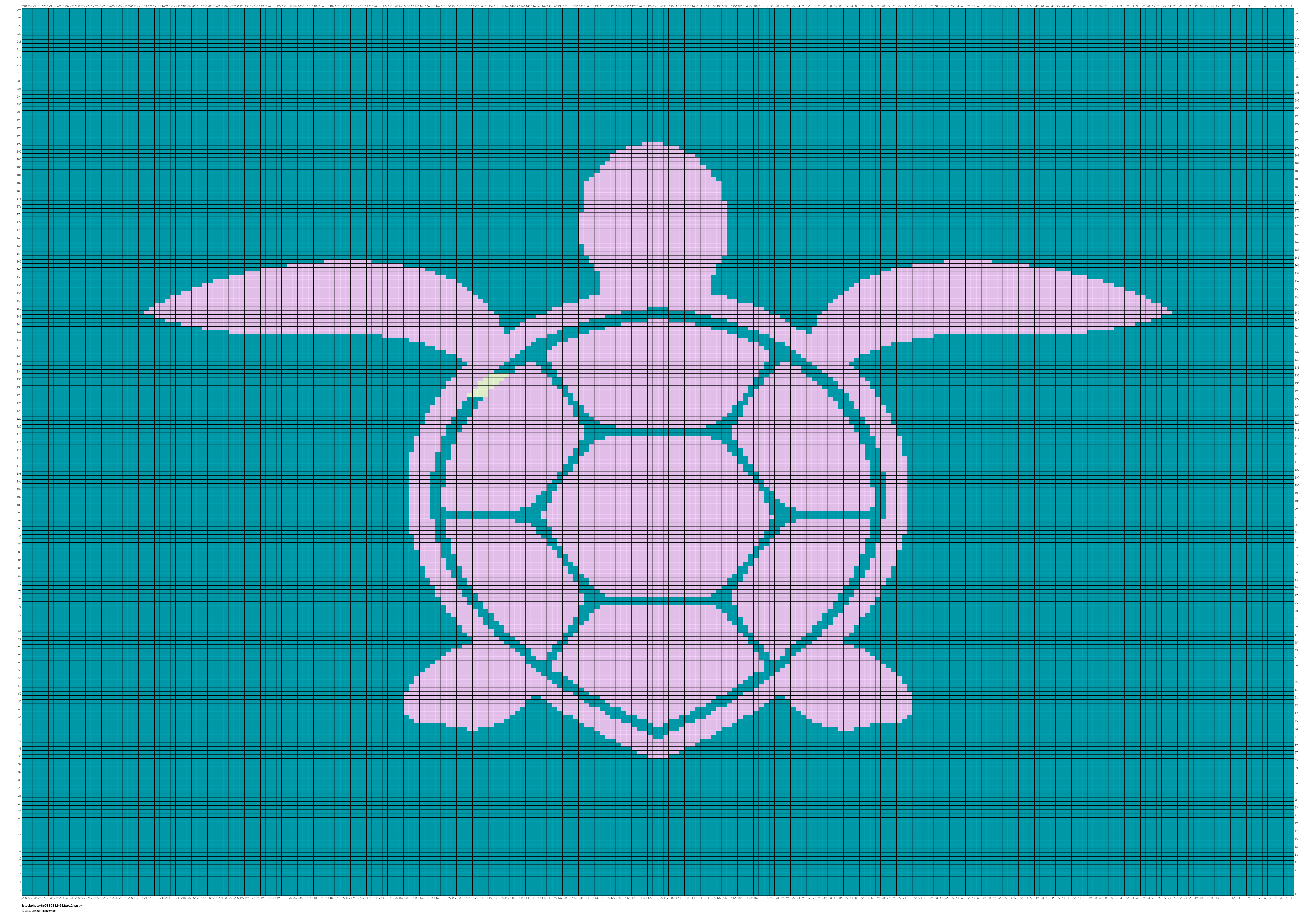 Turtle blanket baby