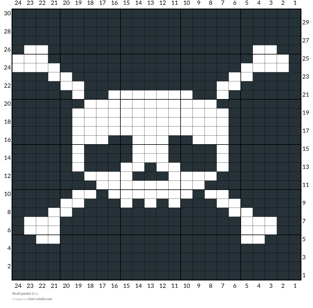 Skull pocket 2