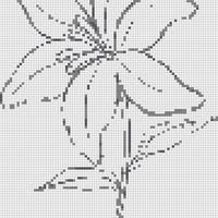 lily flower.png