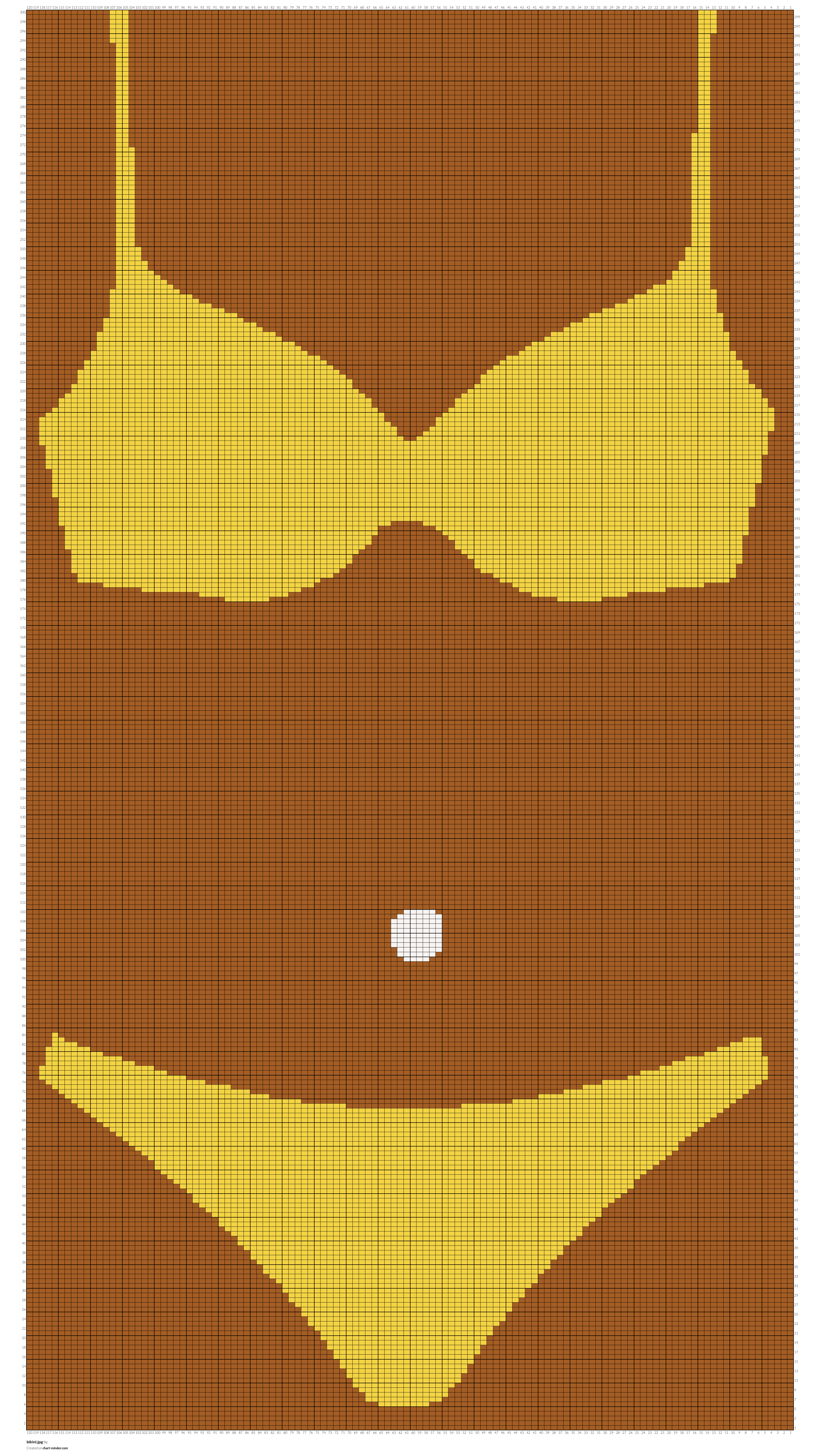 bikini.jpg