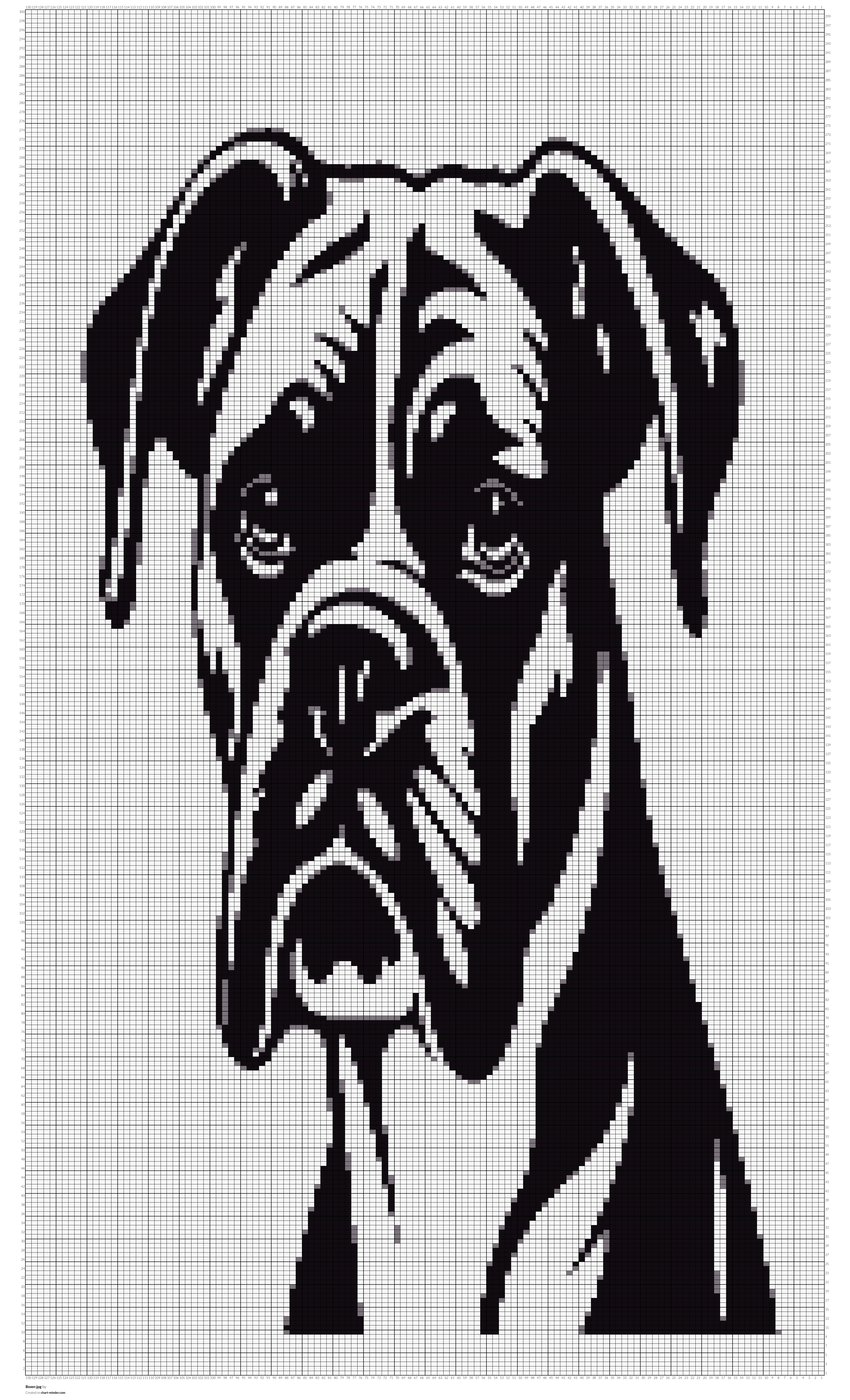 Boxer.jpg