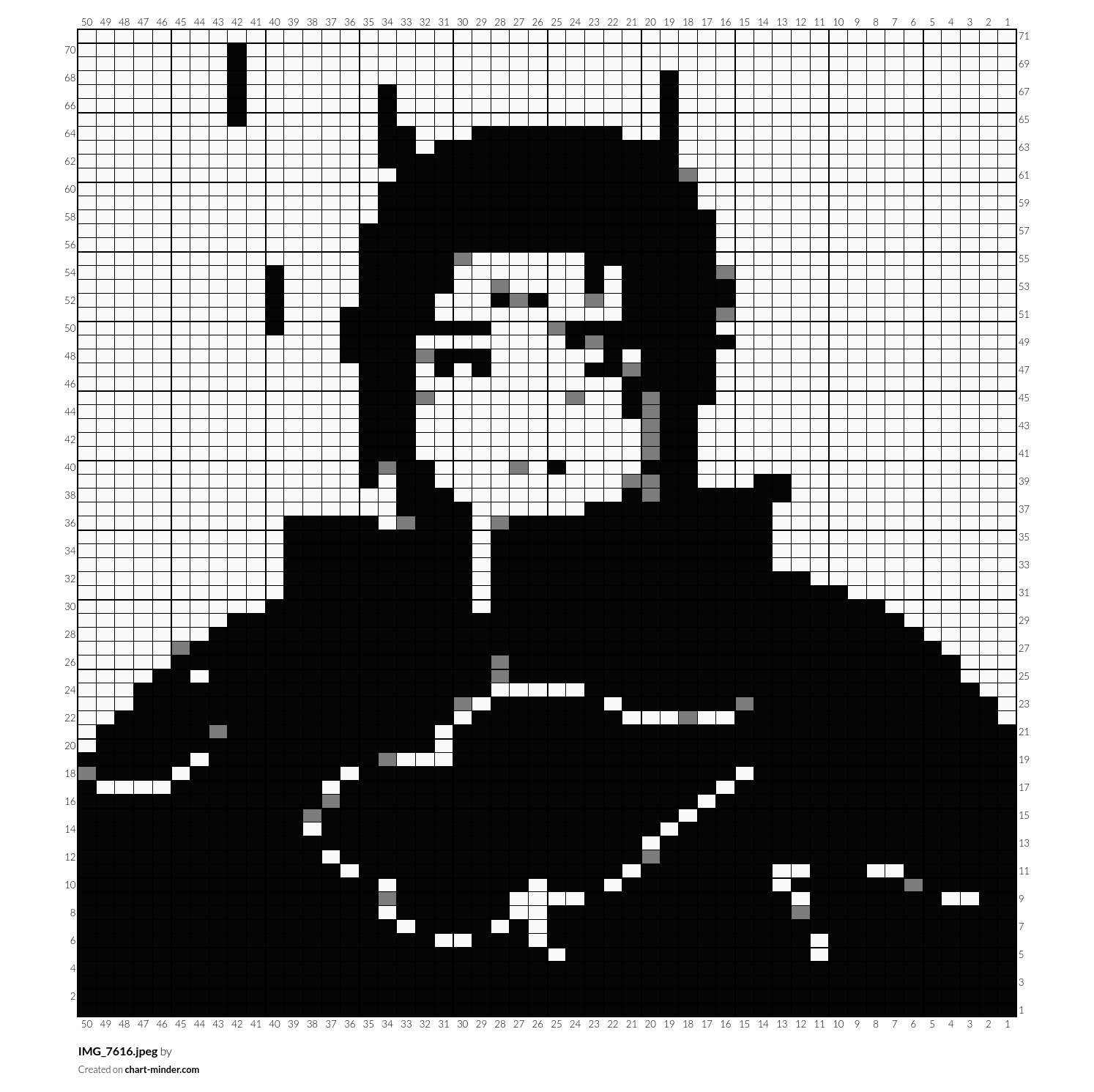 IMG_7616.jpeg