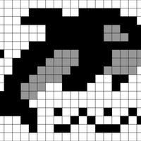 Orca