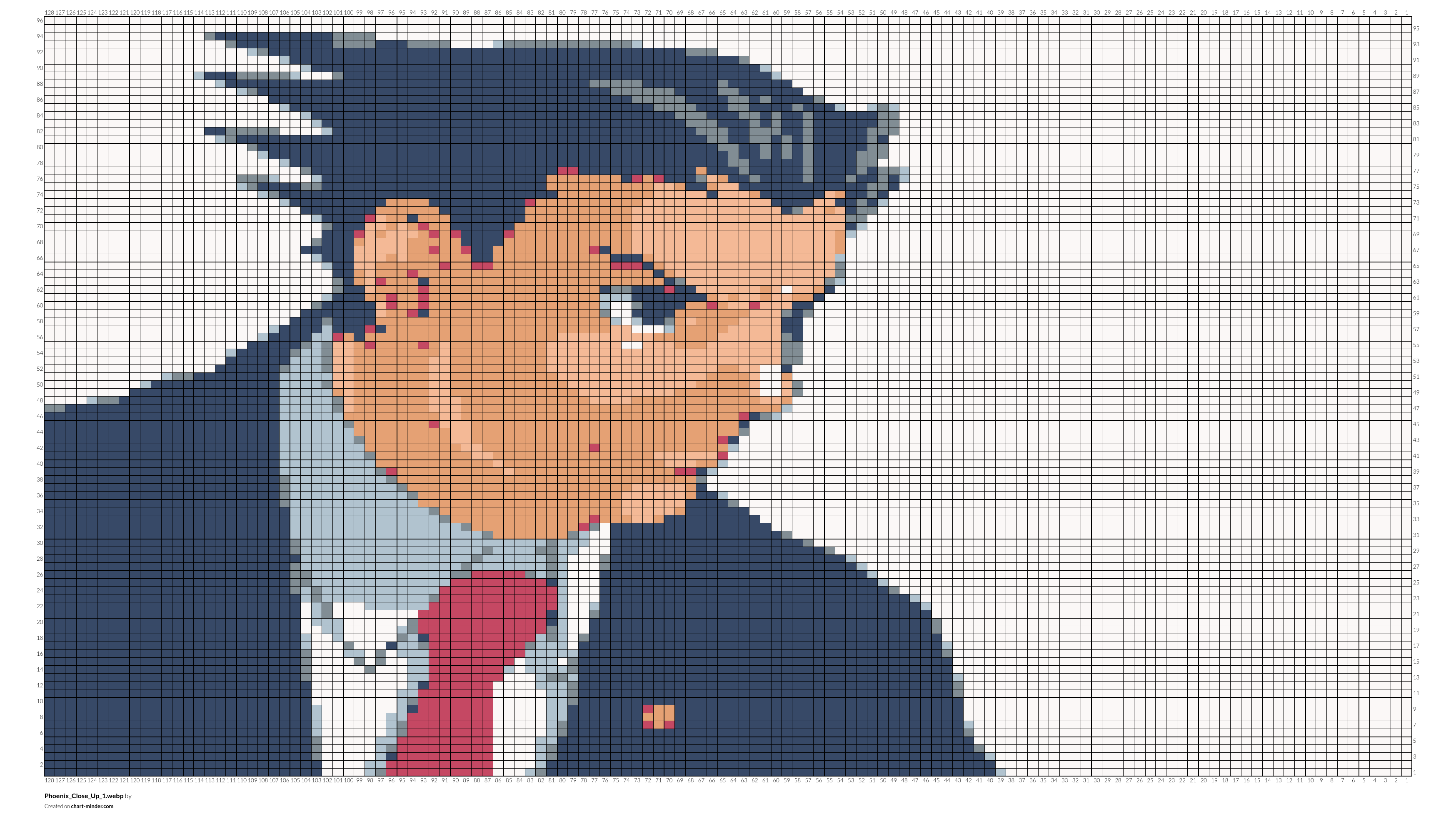 Phoenix_Close_Up_1.webp