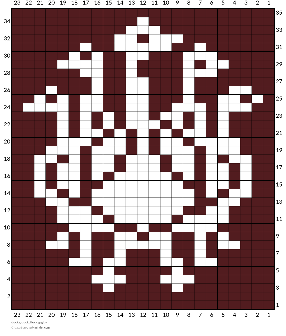 ducks, duck, flock.jpg