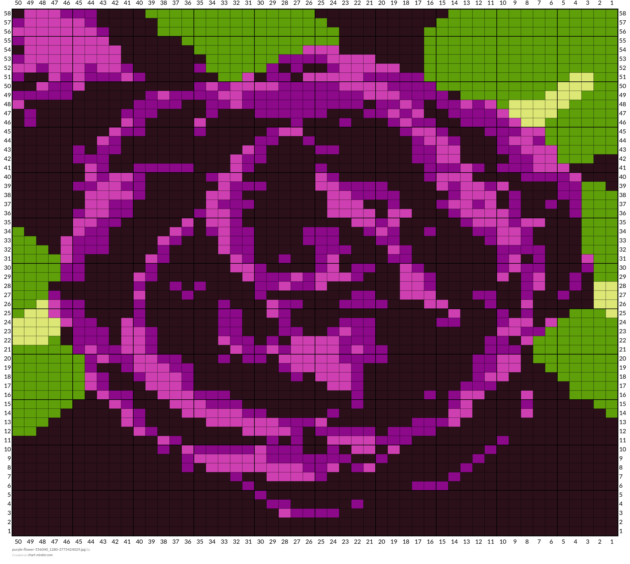 purple-flower-556040_1280-3775424029.jpg