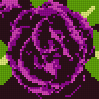 purple-flower-556040_1280-3775424029.jpg