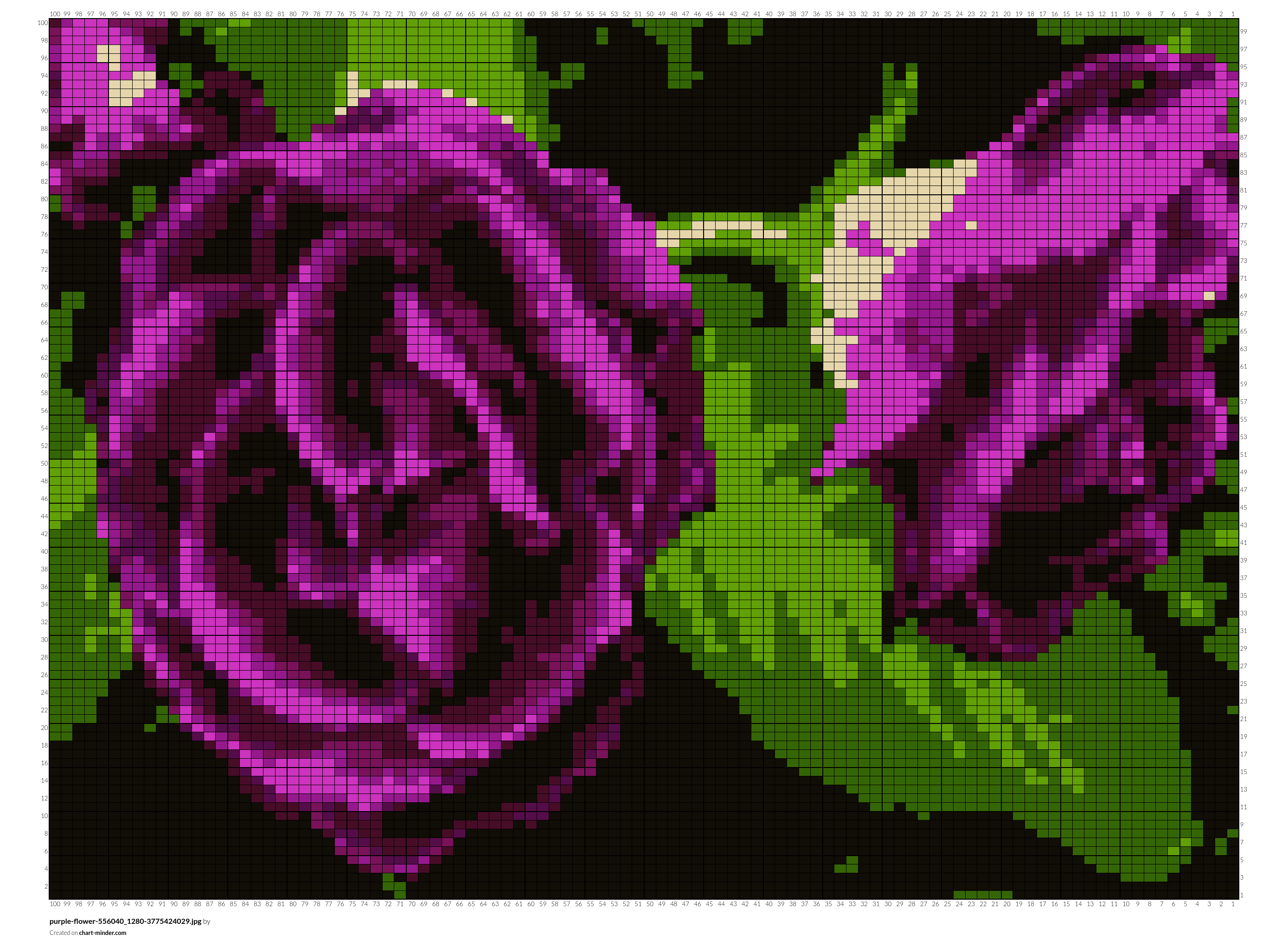 purple-flower-556040_1280-3775424029.jpg