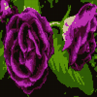purple-flower-556040_1280-3775424029.jpg