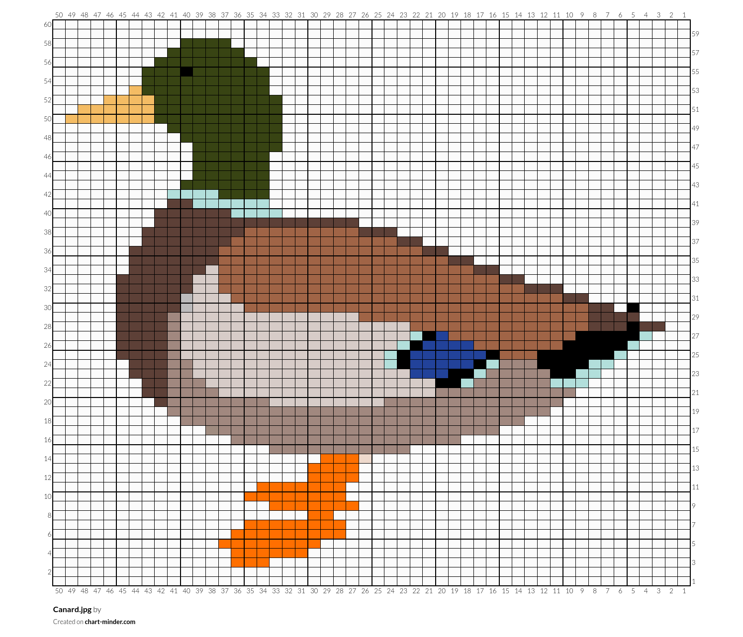 Canard.jpg