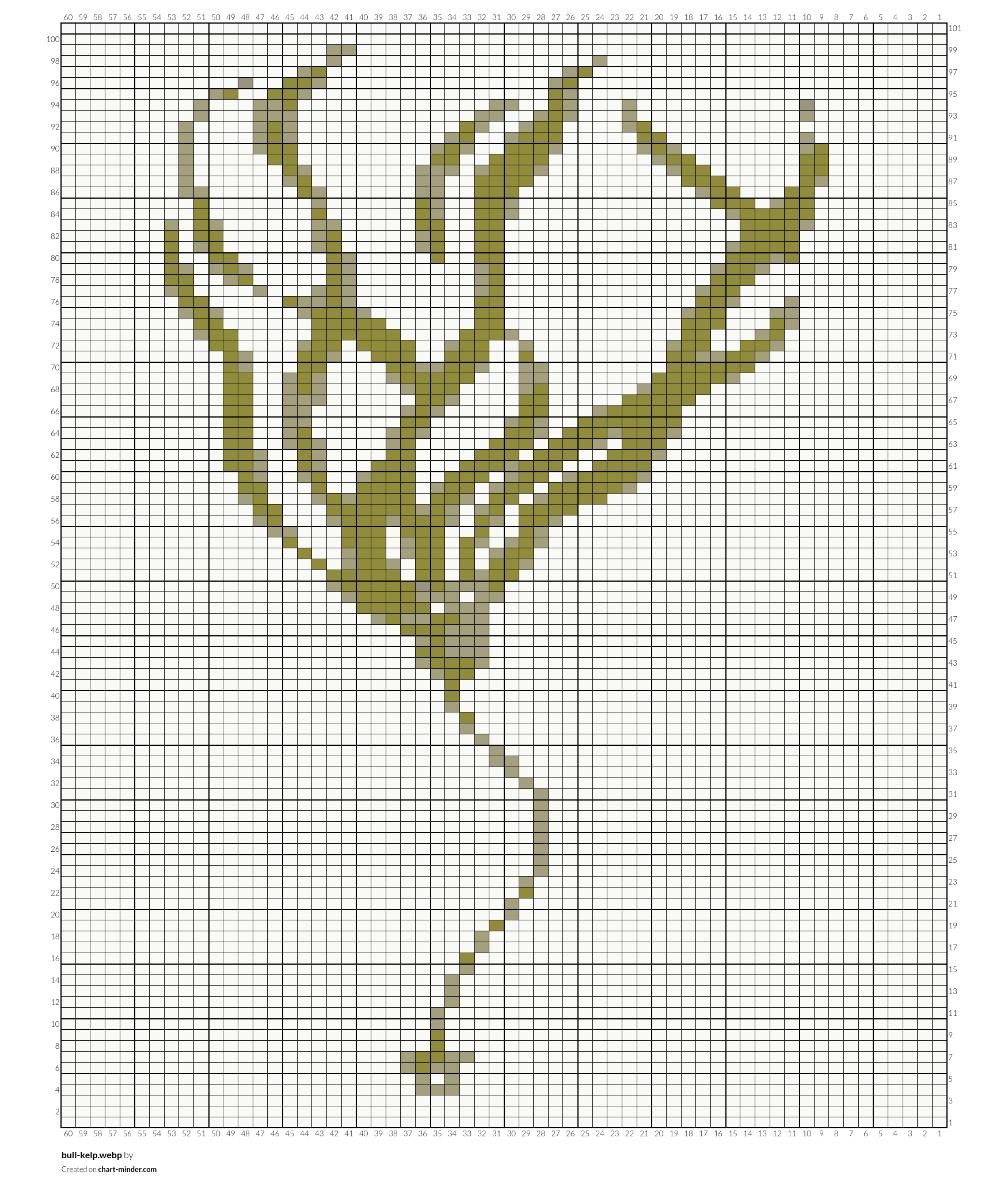 bull-kelp.webp