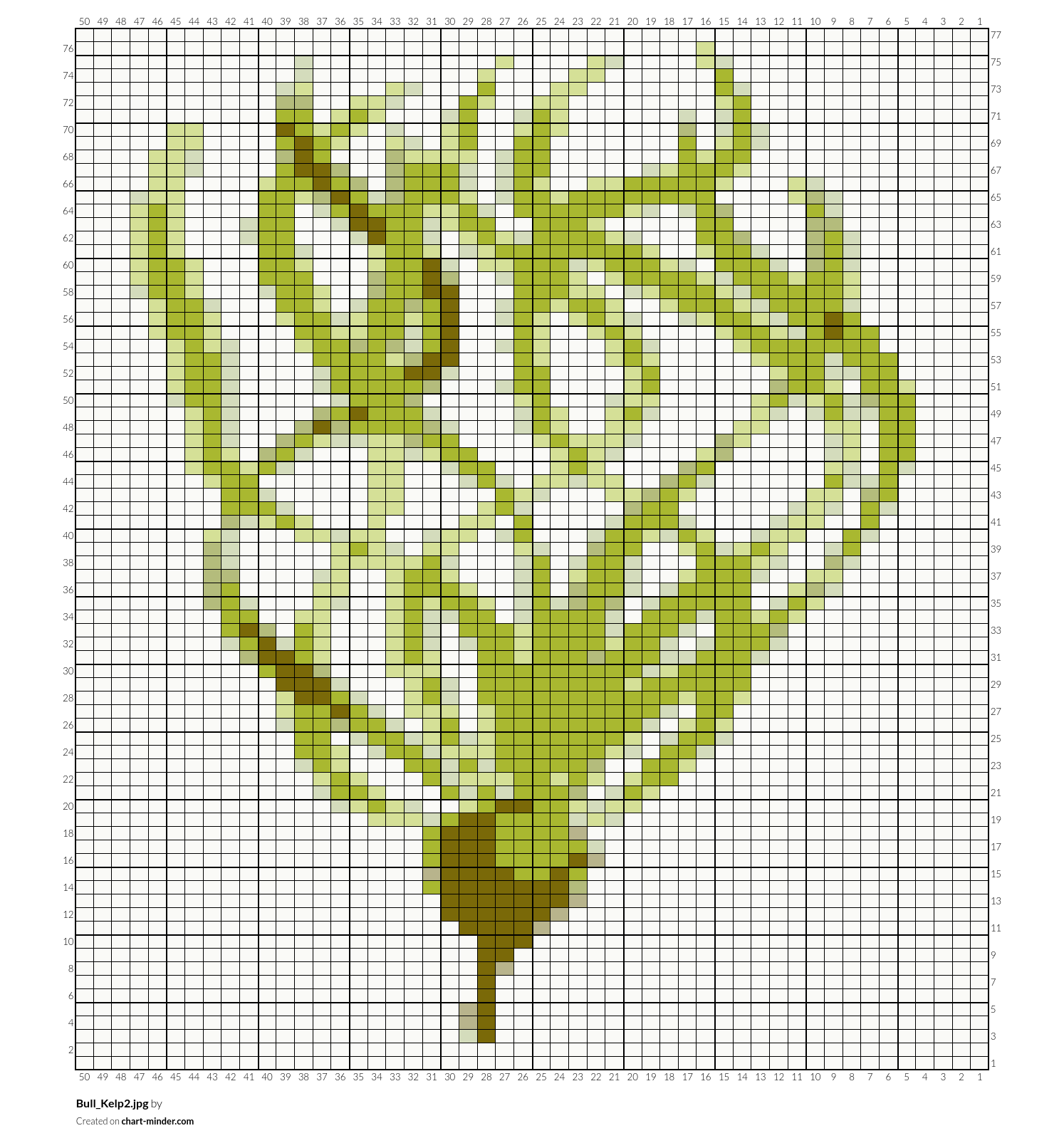 Bull_Kelp2.jpg