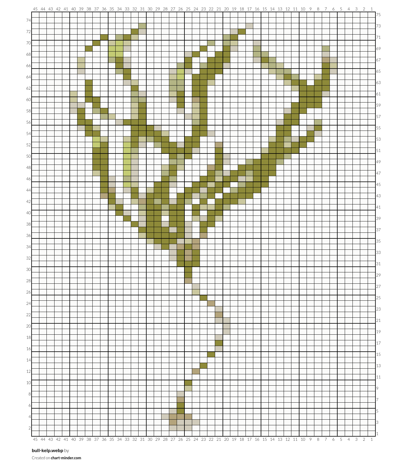 bull-kelp.webp