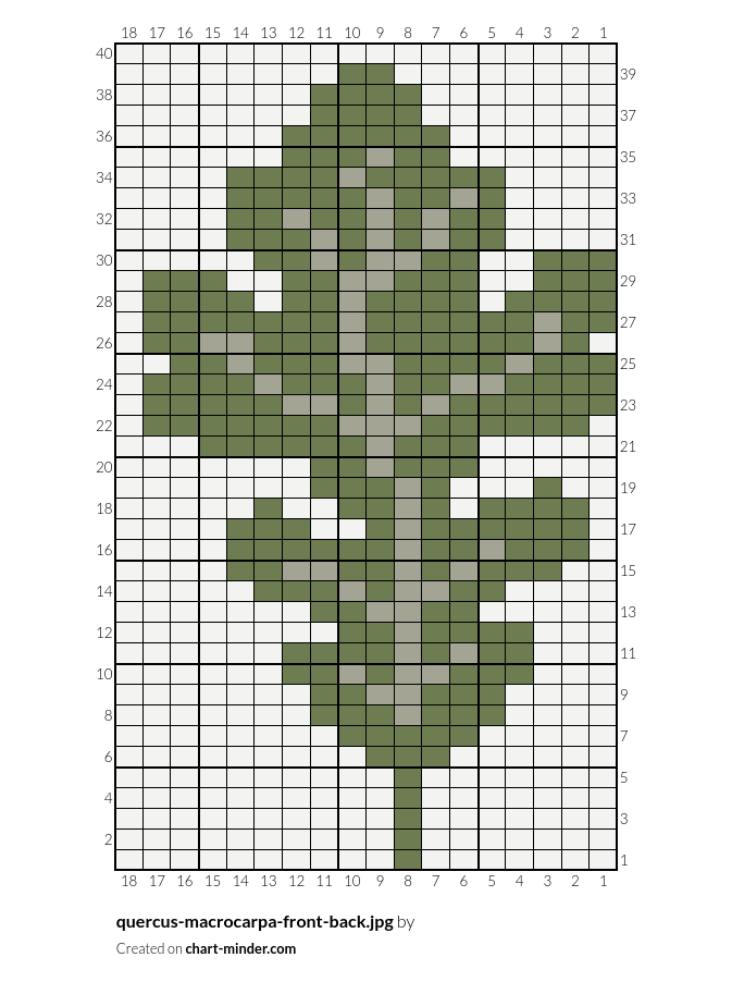 quercus-macrocarpa-front-back.jpg