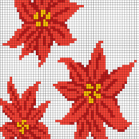 Poinsettia