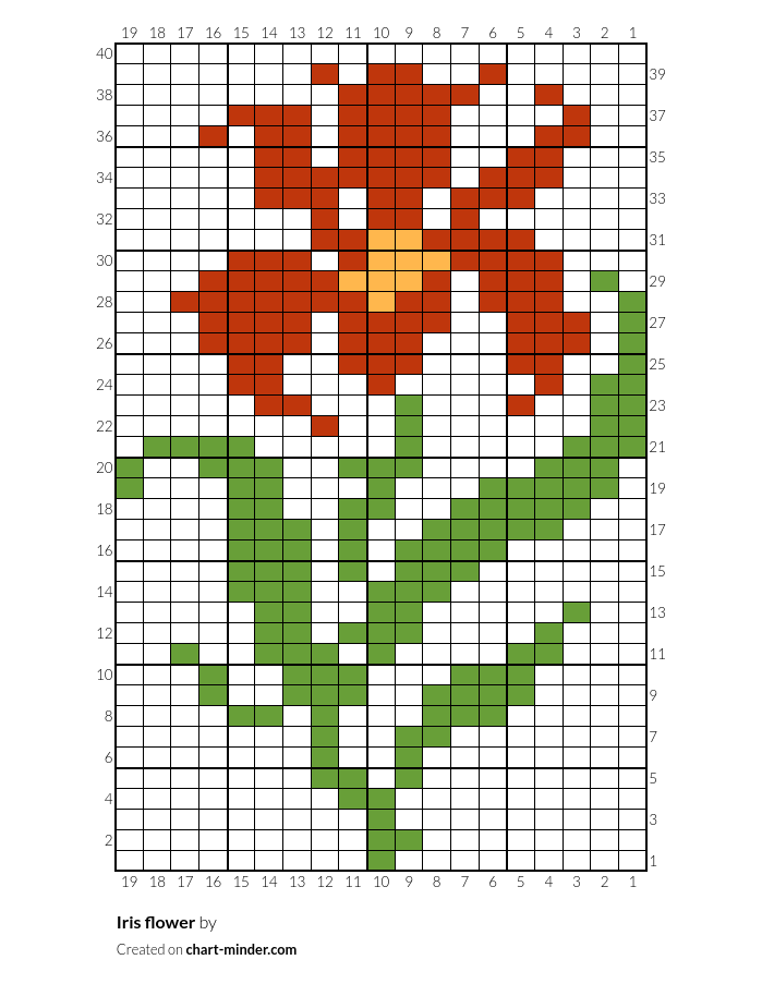 Iris flower 