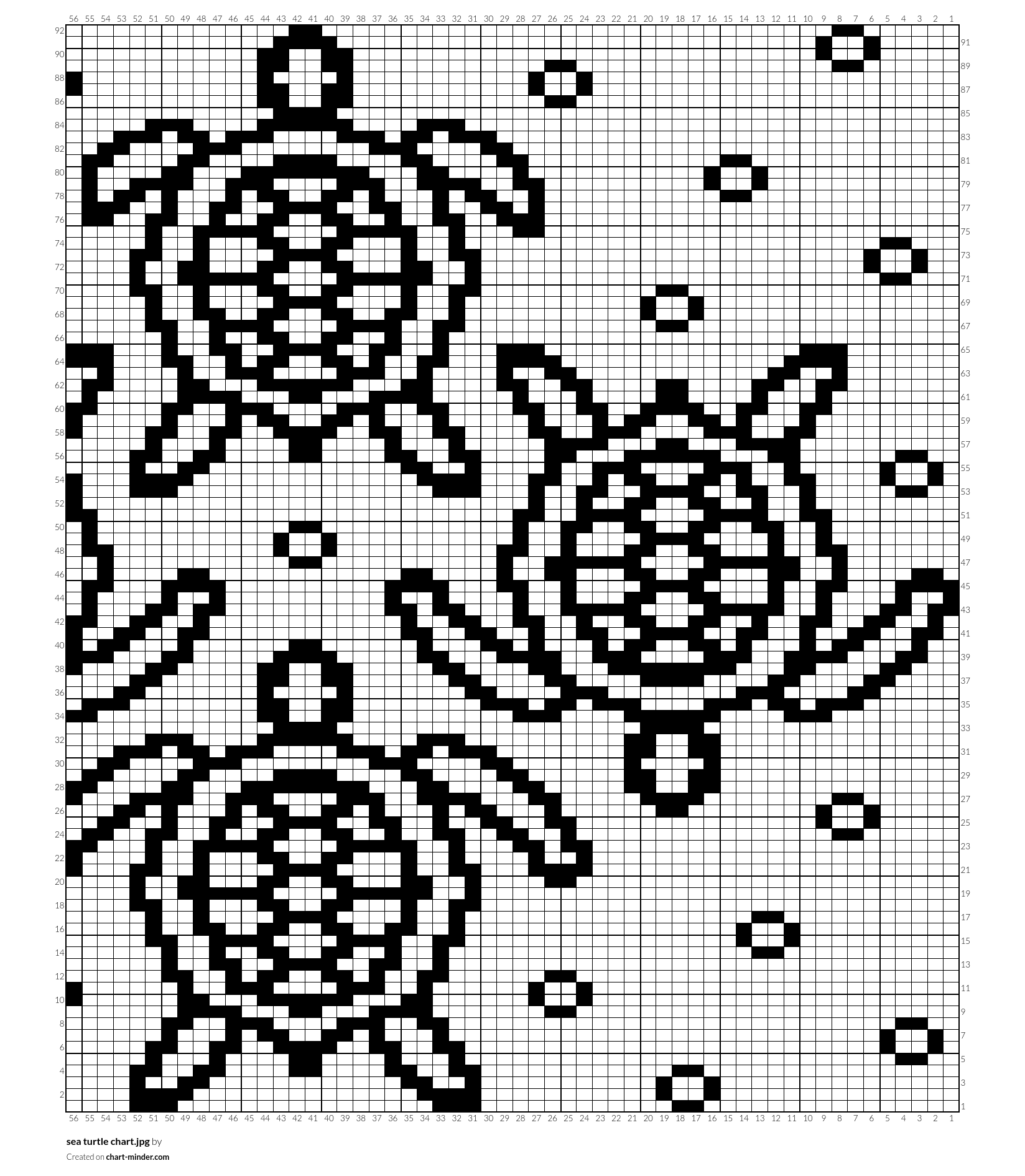sea turtle chart.jpg