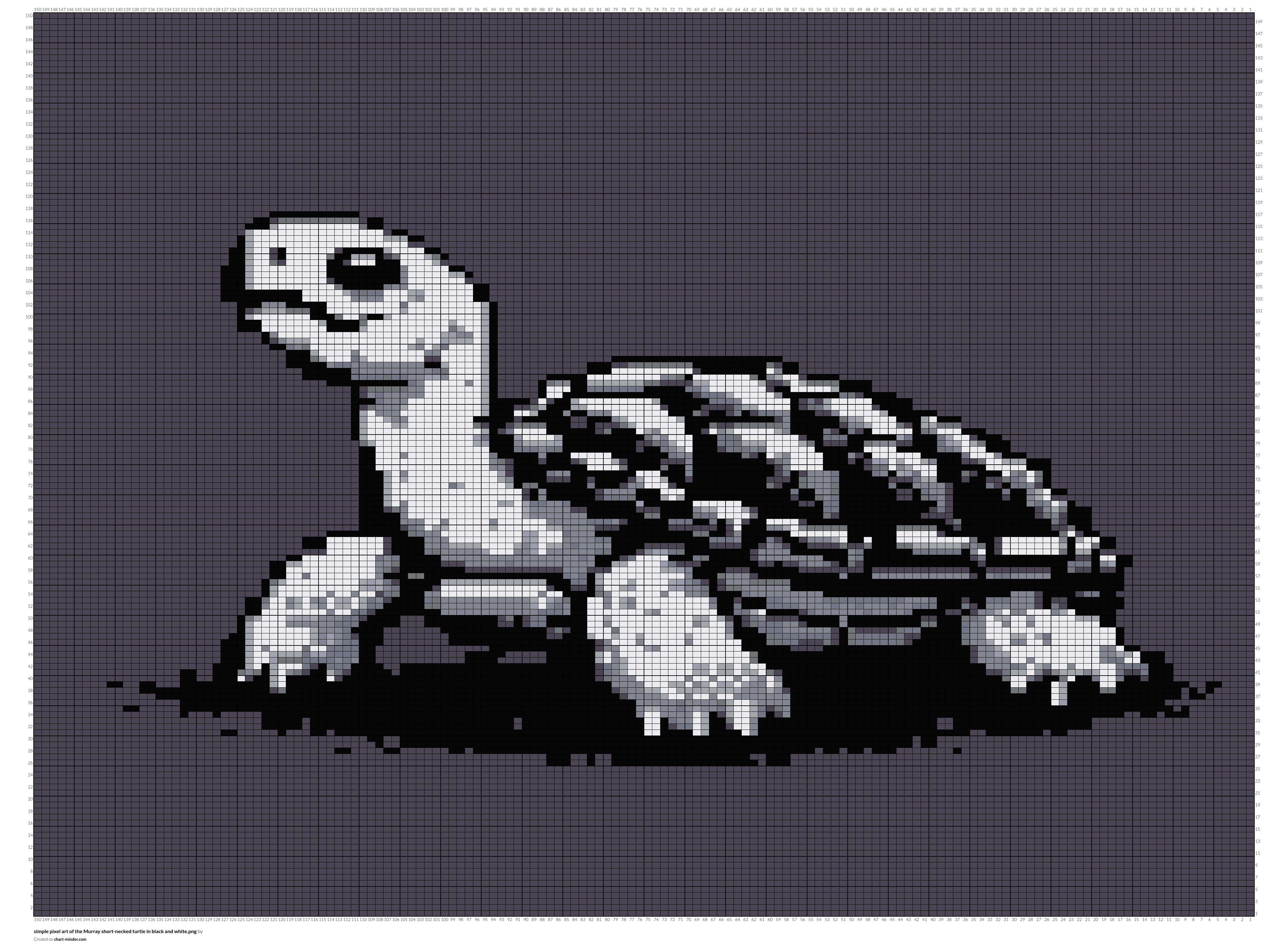 simple pixel art of the Murray short-necked turtle in black and white.png