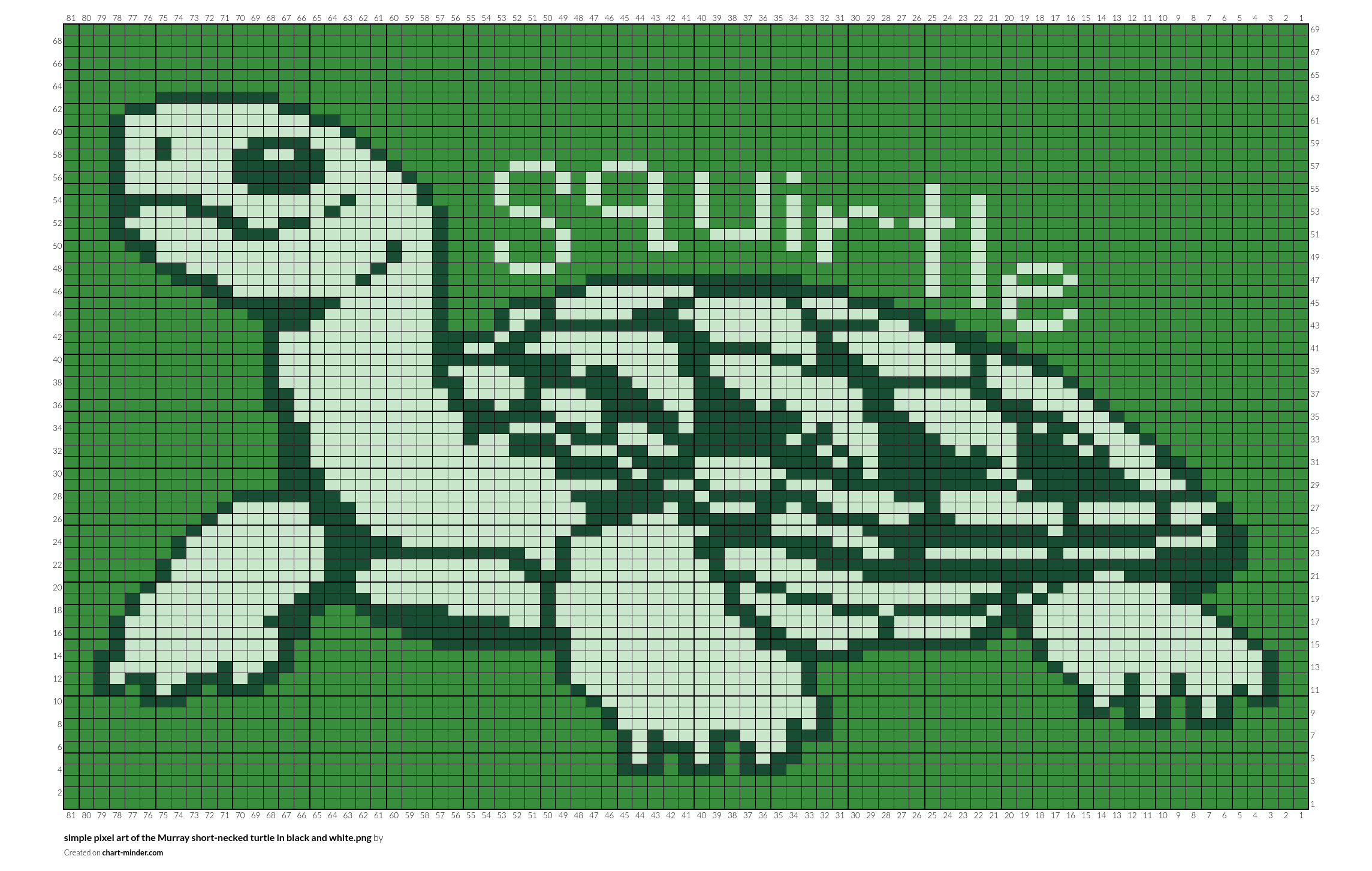 simple pixel art of the Murray short-necked turtle in black and white.png