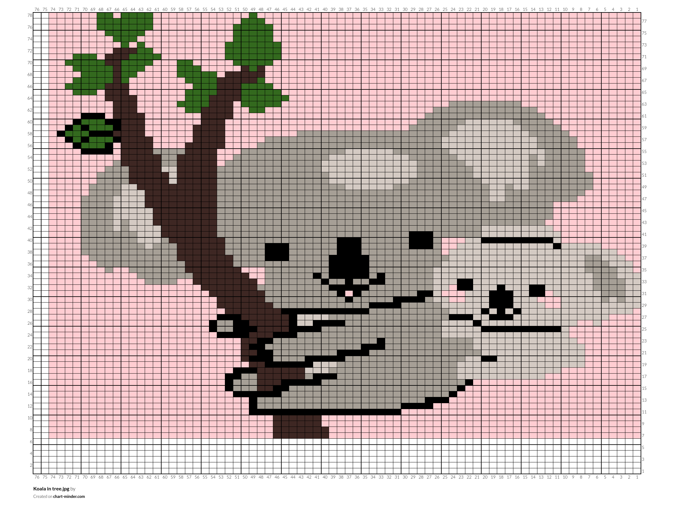 Koala in tree.jpg