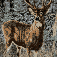 deer.jpeg