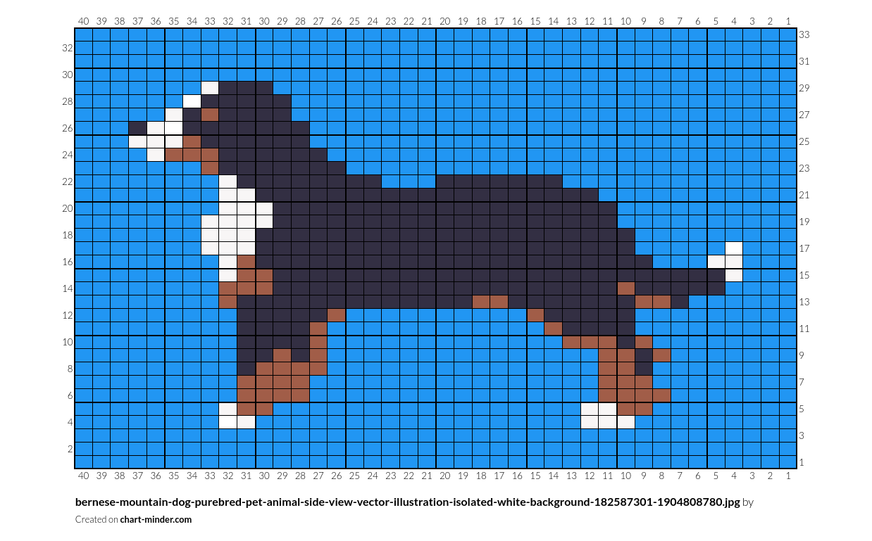 bernese-mountain-dog-purebred-pet-animal-side-view-vector-illustration-isolated-white-background-182587301-1904808780.jpg