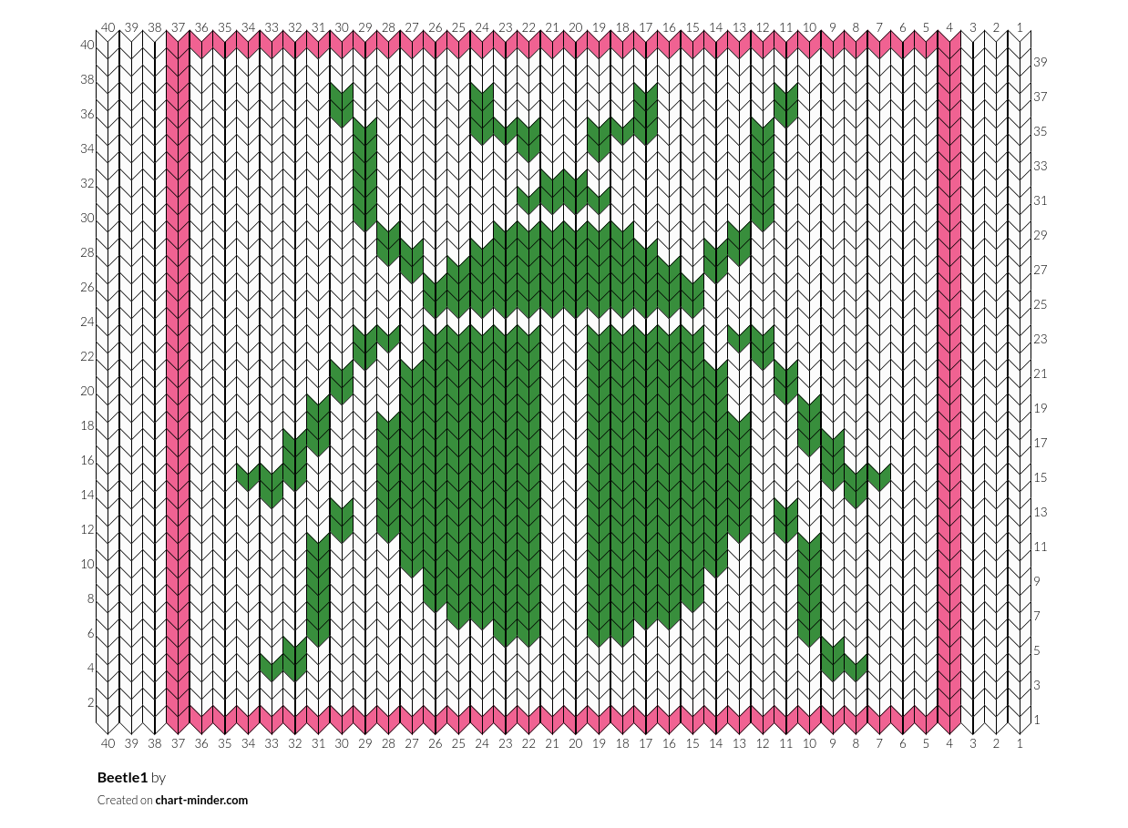 Beetle1