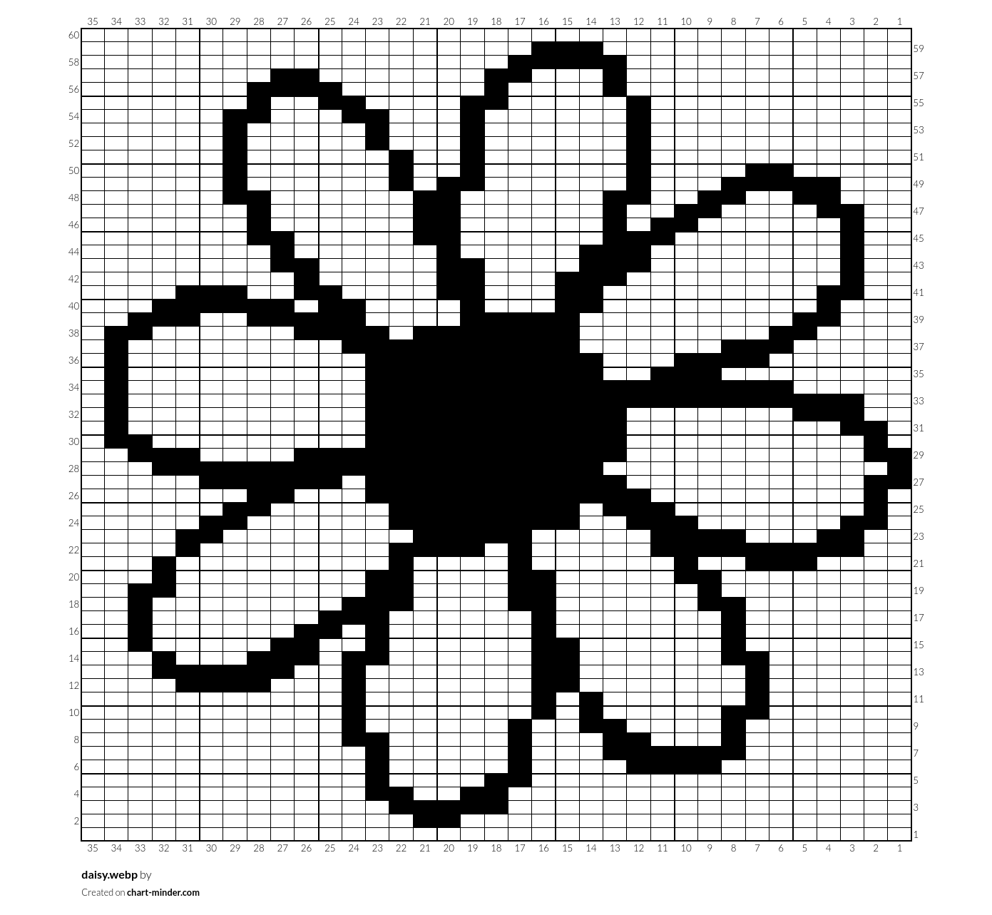 daisy.webp