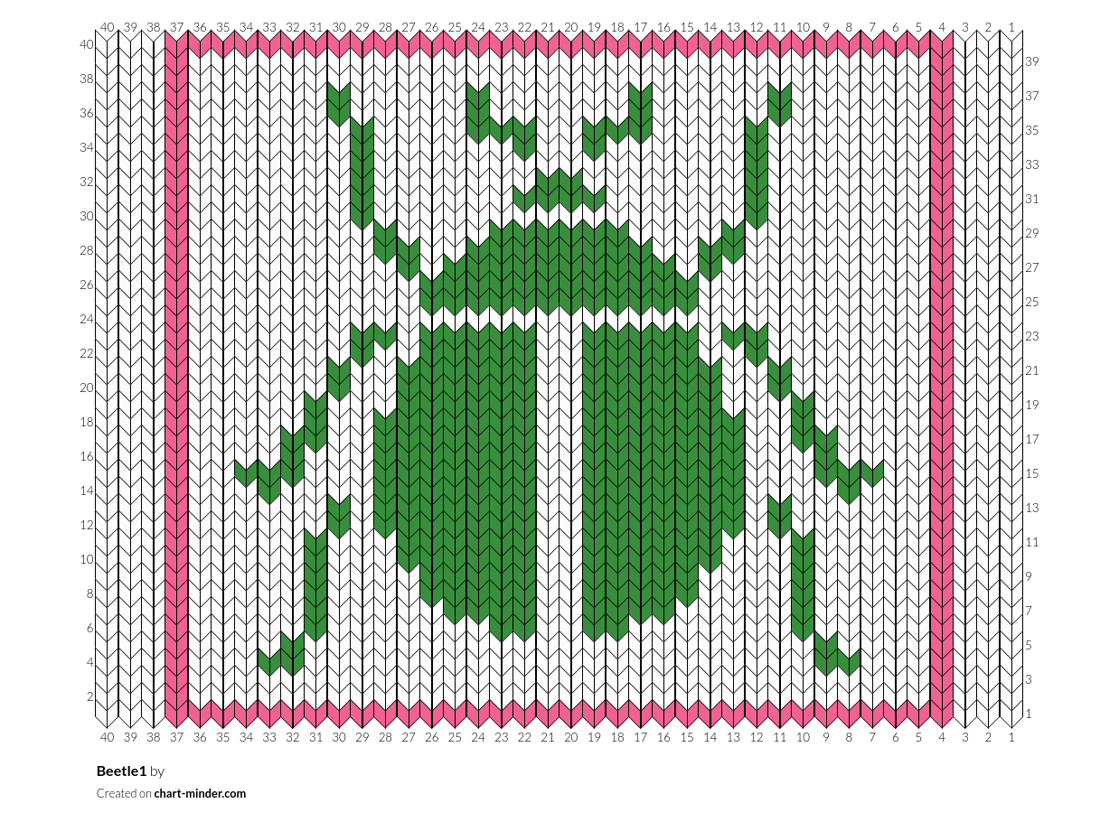 Beetle1