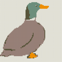 realistic duck