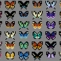 mariposas