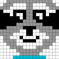Racoon Face