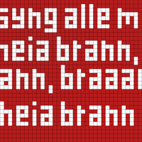 Copy of heia brann