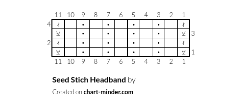 Seed Stich Headband