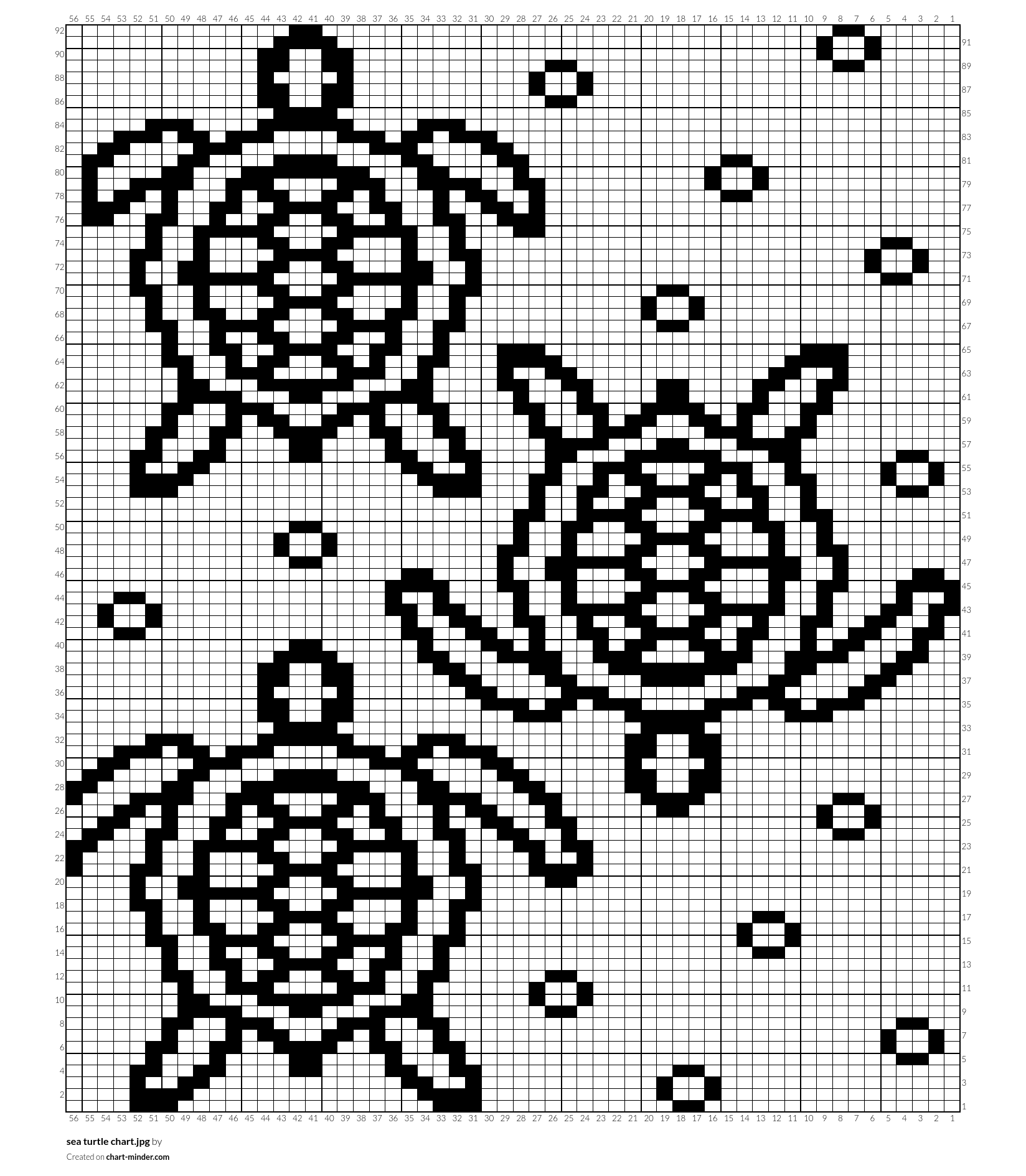 sea turtle chart.jpg