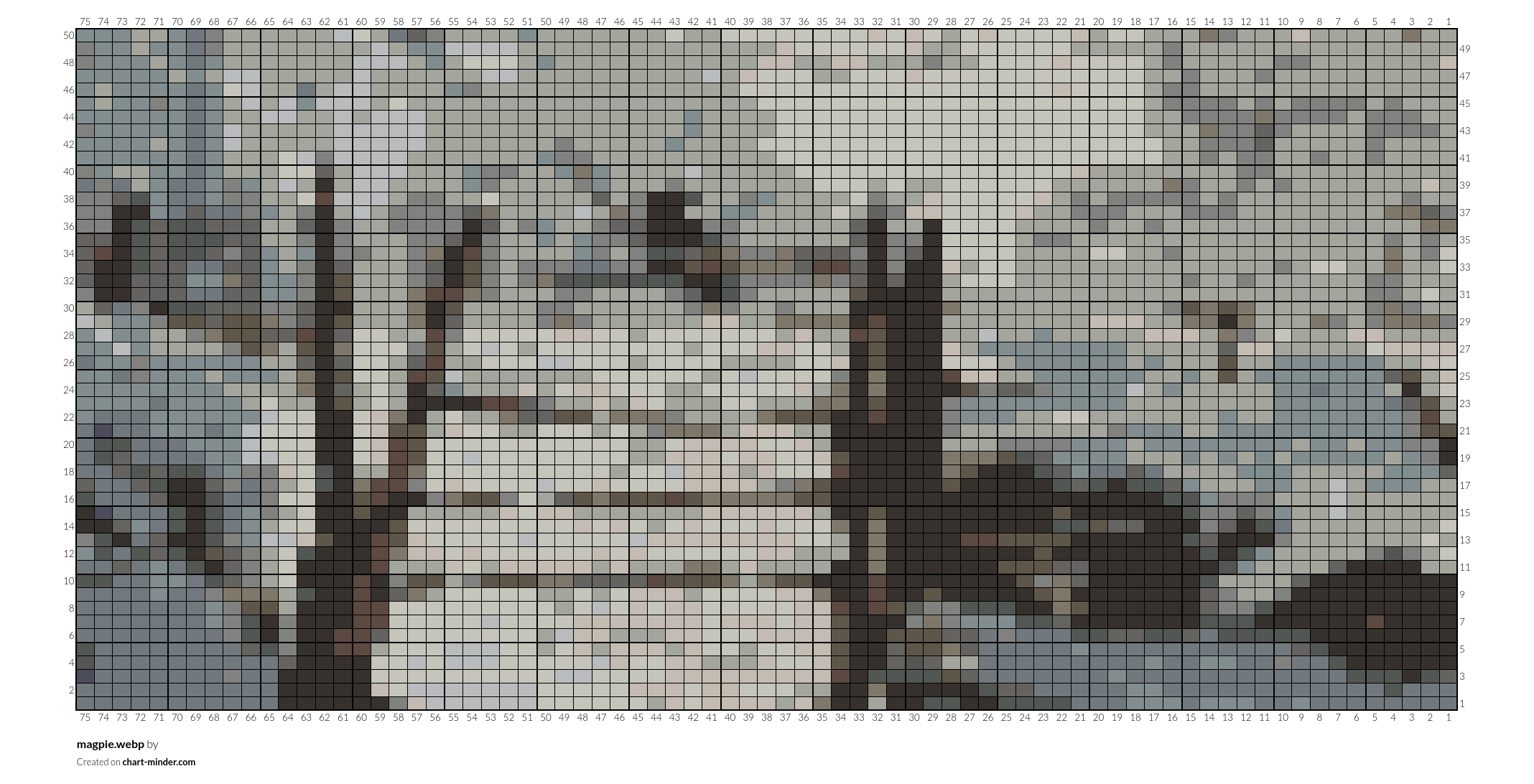 magpie.webp