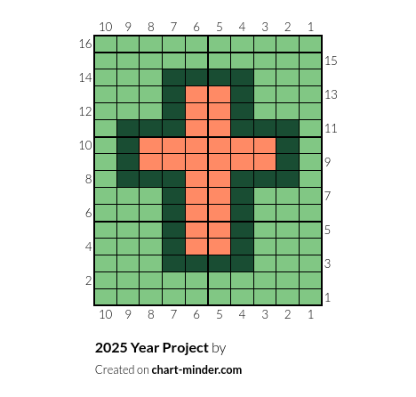 2025 Year Project
