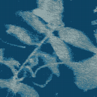 Copy of 0CDEFE33-20C4-4152-82C2-23DE3F4102BF.jpeg