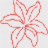 lilly flower (1).jpg