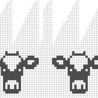 cows