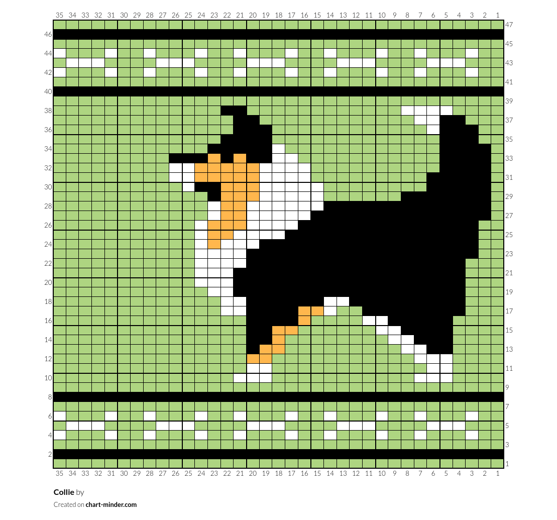 Collie