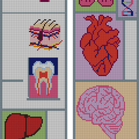 organ sweater