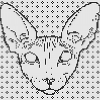 Copy of mandyleisson.png