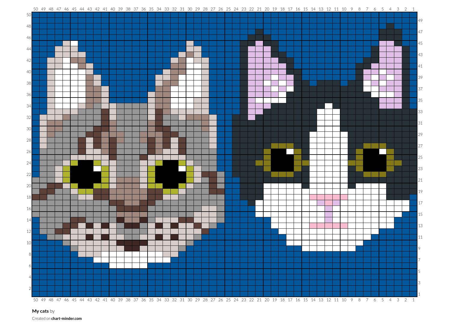 My cats