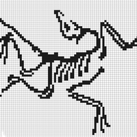 IMG_4061.jpeg