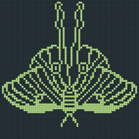 Luna Moth
