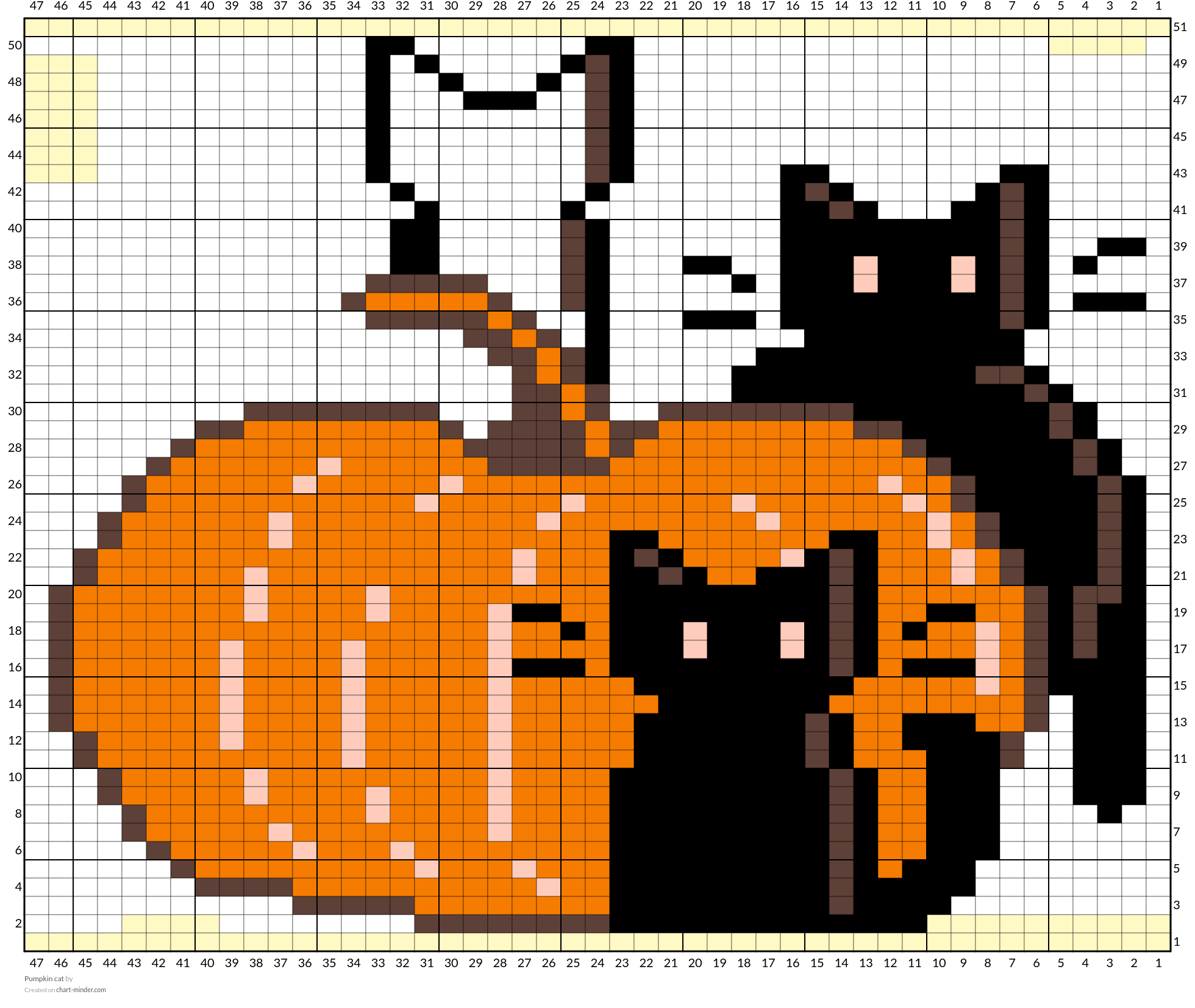 Pumpkin cat