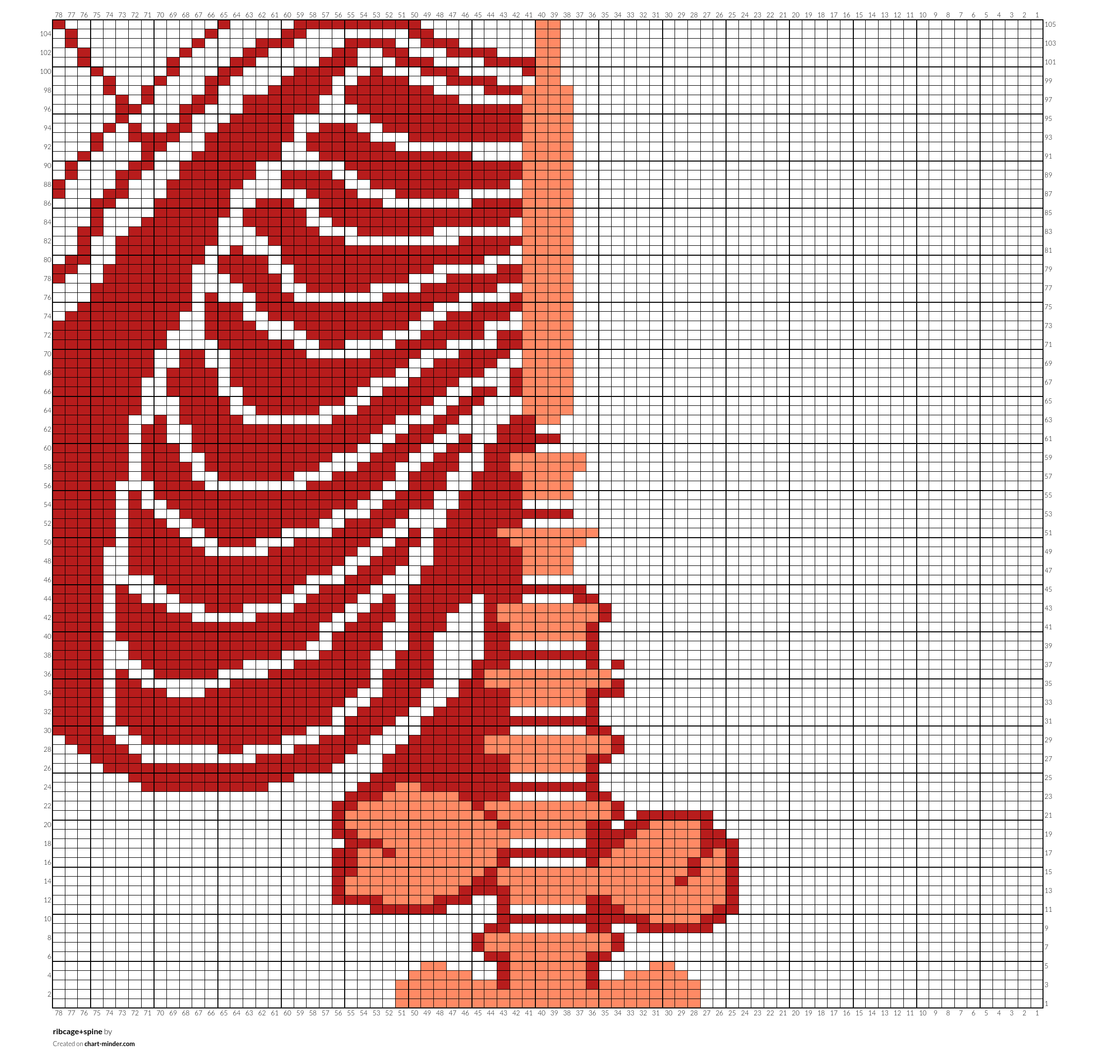 ribcage+spine